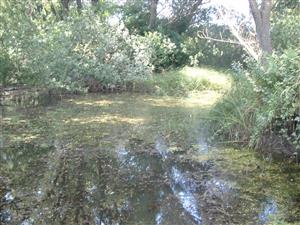 Hámsky kanál, interiér